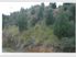 40 Hectare Forestry Block