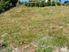 UNOBSTRUCTED VIEWS FROM SOLID GROUND