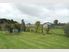 Hobby Haven
