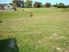 Sought After Section