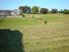 Sought After Section
