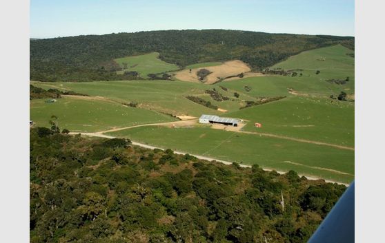Sheep/Beef/Dairy Run-Off 350 Ha (865 acres)
