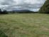 WHERE THE GRASS GROWS - $475,000 + GST if any