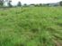 WHERE THE GRASS GROWS - $475,000 + GST if any