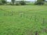 WHERE THE GRASS GROWS - $475,000 + GST if any