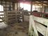 WHERE THE GRASS GROWS - $475,000 + GST if any