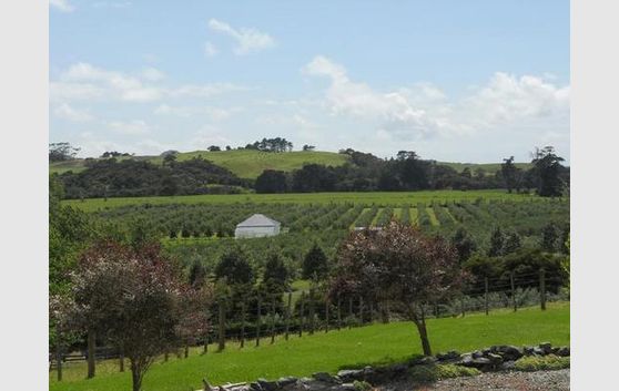 Mangawhai Heads