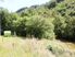 Blacks Point Section, All Reasonable Offers Considered