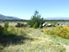 Sell Sell Sell, Lake Hawea