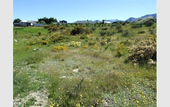 Sell Sell Sell, Lake Hawea