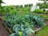 The Best that Nature Provides