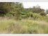Beautiful Block of Land to Build Your Dream Country Home