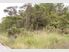 Beautiful Block of Land to Build Your Dream Country Home