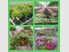 Lifestyle & Income – Freehold Wholesale Nursery