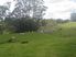 A Great Opportunity Here. Vendor wants sold, now only $1,400,000 + GST if any