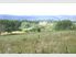 Ozzie Homestead on 22 Acres