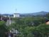 REMUERA - Sunny Apartment