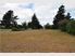 Beachfront, Tranquilty, Coastal Rarangi