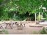 Private and Rustic Lifestyle Property