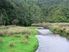 Genuine sheep & cattle farm
