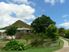 Genuine sheep & cattle farm