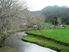 Genuine sheep & cattle farm
