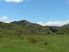 Genuine sheep & cattle farm