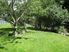 Spacious Living with Picture Perfect Grounds - 41 Tui Crescent, Waikanae