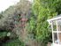 Spacious Living with Picture Perfect Grounds - 41 Tui Crescent, Waikanae