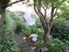 Spacious Living with Picture Perfect Grounds - 41 Tui Crescent, Waikanae