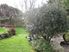 Spacious Living with Picture Perfect Grounds - 41 Tui Crescent, Waikanae