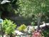 Spacious Living with Picture Perfect Grounds - 41 Tui Crescent, Waikanae