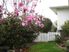 Spacious Living with Picture Perfect Grounds - 41 Tui Crescent, Waikanae