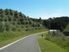 HAVELOCK NORTH // Lot 43 Hill Country Estate