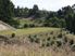HAVELOCK NORTH // Lot 43 Hill Country Estate