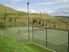 HAVELOCK NORTH // Lot 43 Hill Country Estate