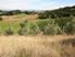 HAVELOCK NORTH // Lot 38 Hill Country Estate