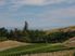 HAVELOCK NORTH // Lot 40 Hill Country Estate