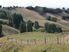 HAVELOCK NORTH // Lot 40 Hill Country Estate