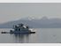Taupo Houseboat Business