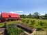 RYLAND ESTATE - Gardens, Accommodation & Orchard Business