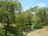 Views n Tranquillity