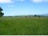 2.5 Acres - Modern Cottage - Selling under GV