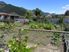 GARDEN VIEW DINING