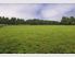 ICONIC VILLA IN COUNTRY WAIHI
