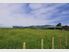 ICONIC VILLA IN COUNTRY WAIHI
