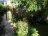 DEVELOPERS DREAM - VIEWS, LOCATION, PRIVATE, SPACE