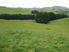 Quality Farm!!!