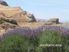 Stunning Views, Privacy And Potential Income