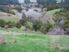 Affordable 80 Acres